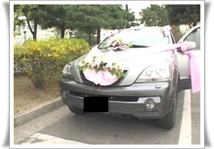 Hwangs Wedding.wmv_001134567.jpg